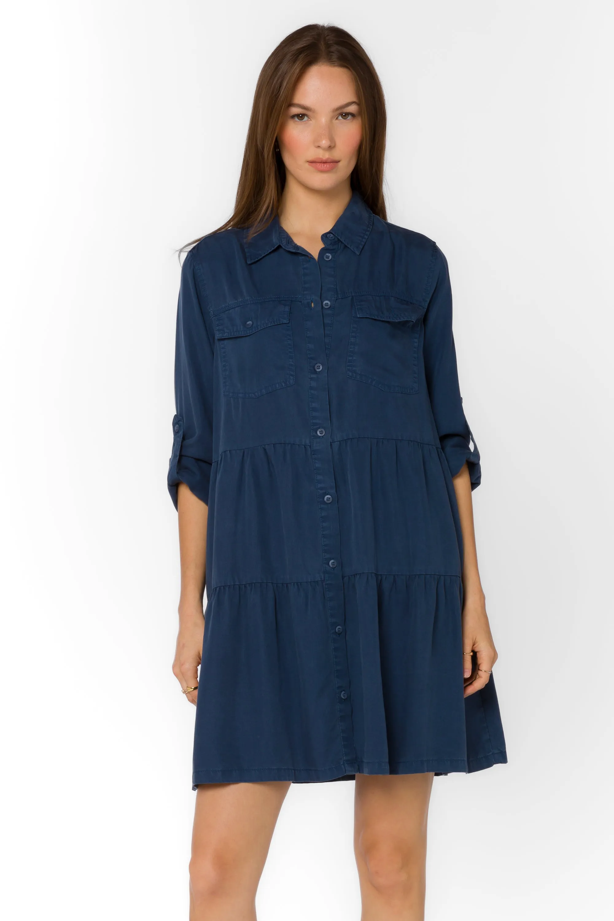 Bree French Navy Dress