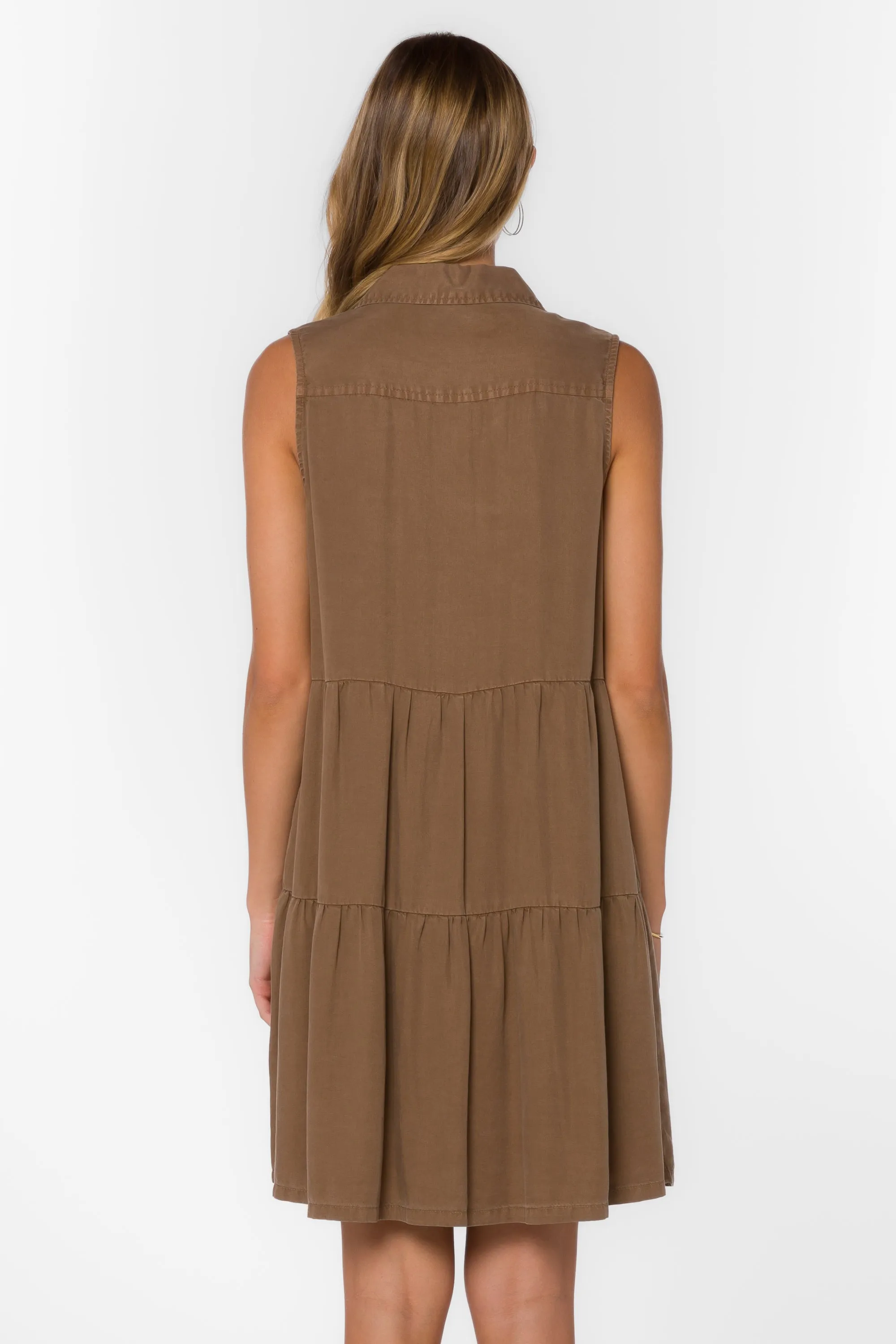 Collette Brown Dress