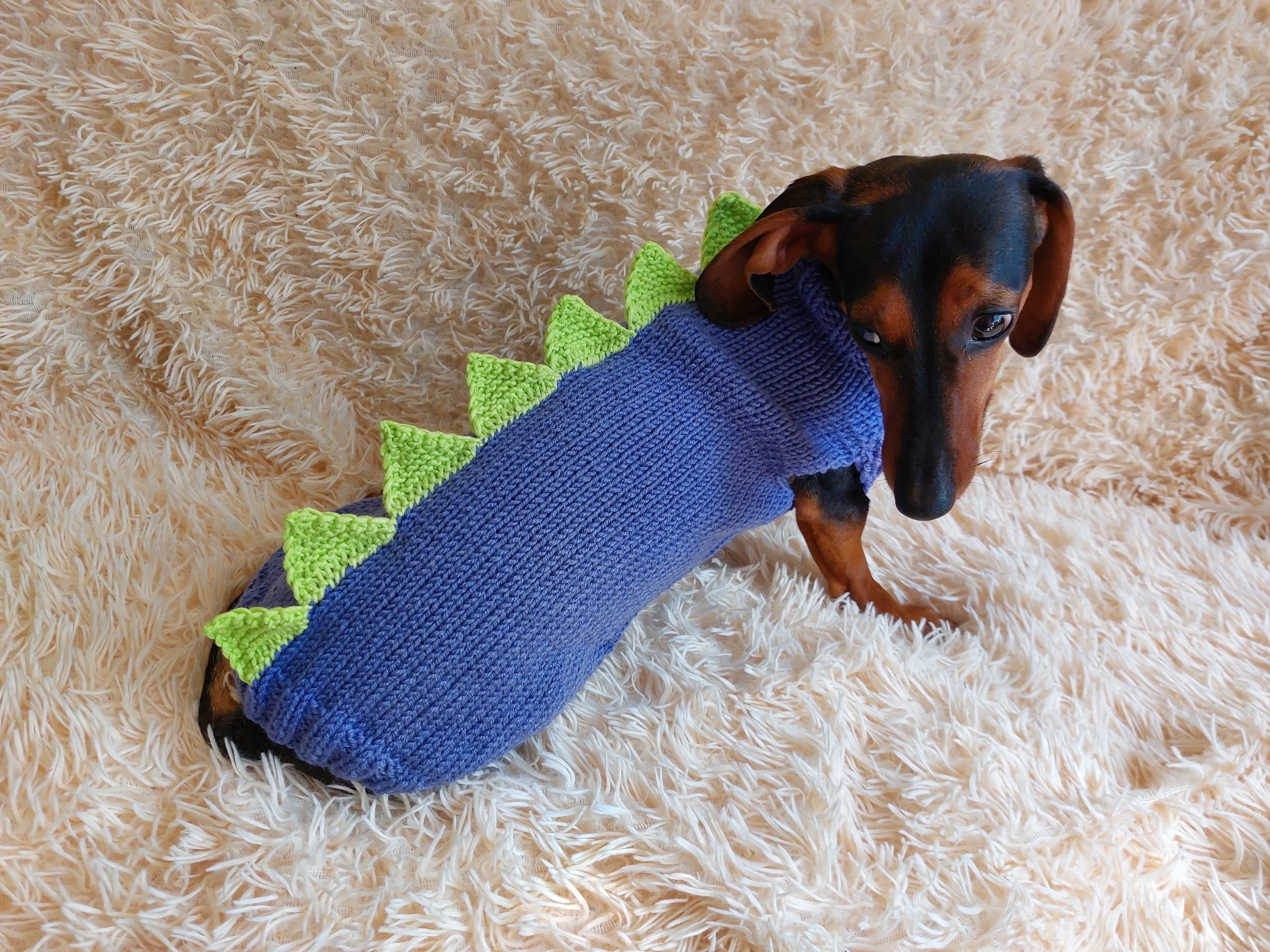 Dinosaur sweater for dachshund or small dog,Dinosaur sweater for small dog, clothes for dog dinosaur, knitted dinosaur sweater.