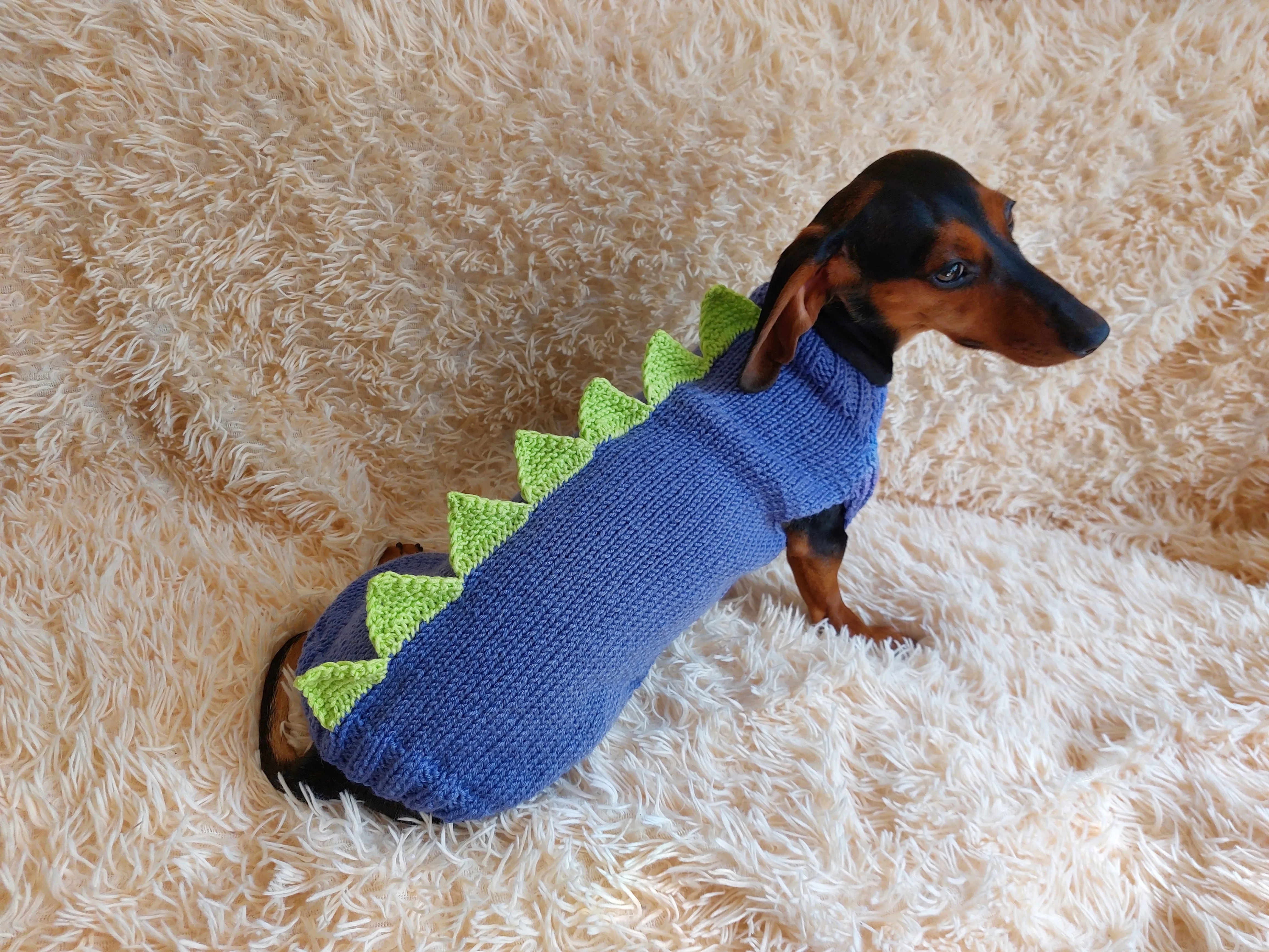 Dinosaur sweater for dachshund or small dog,Dinosaur sweater for small dog, clothes for dog dinosaur, knitted dinosaur sweater.