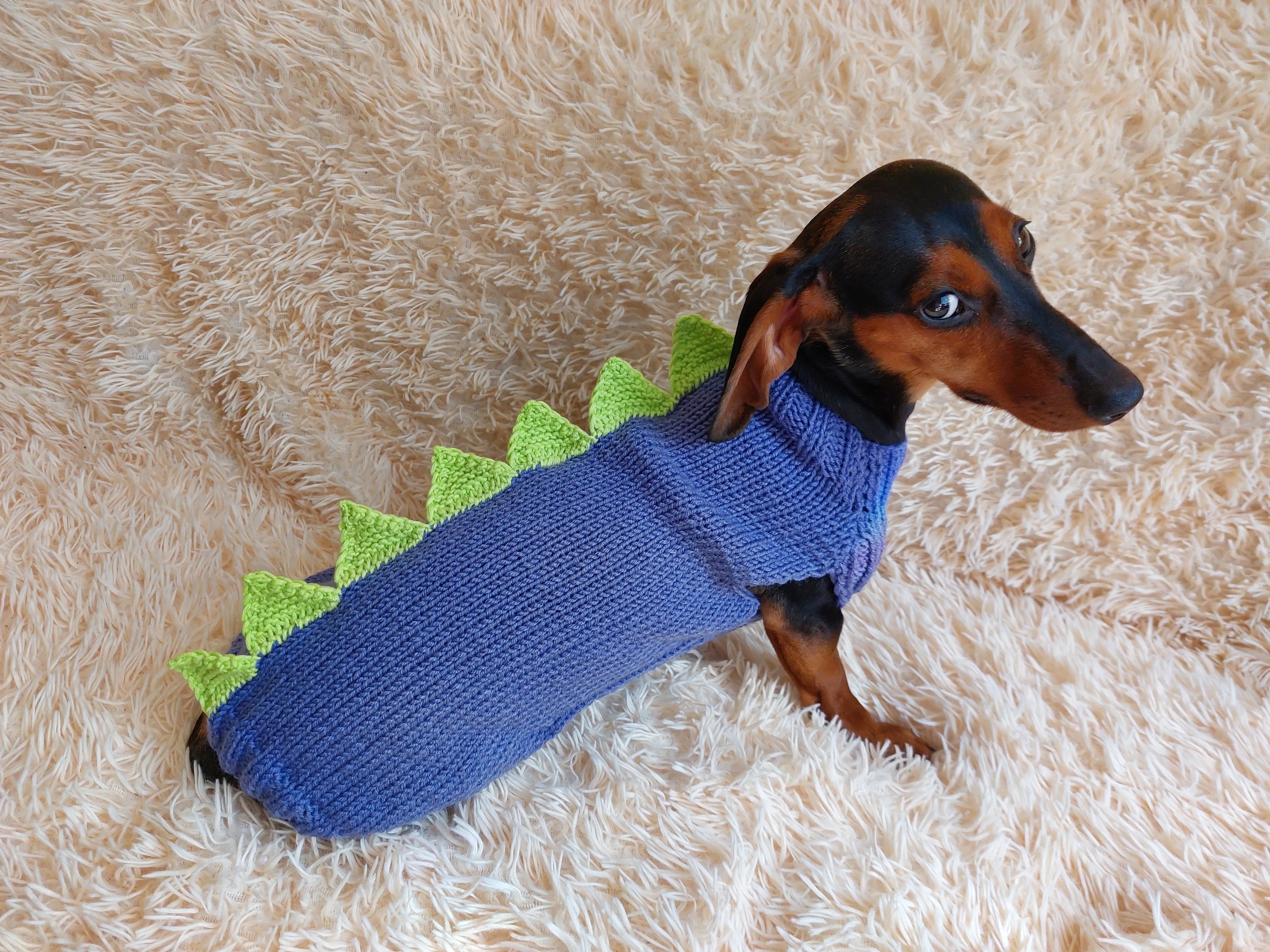 Dinosaur sweater for dachshund or small dog,Dinosaur sweater for small dog, clothes for dog dinosaur, knitted dinosaur sweater.