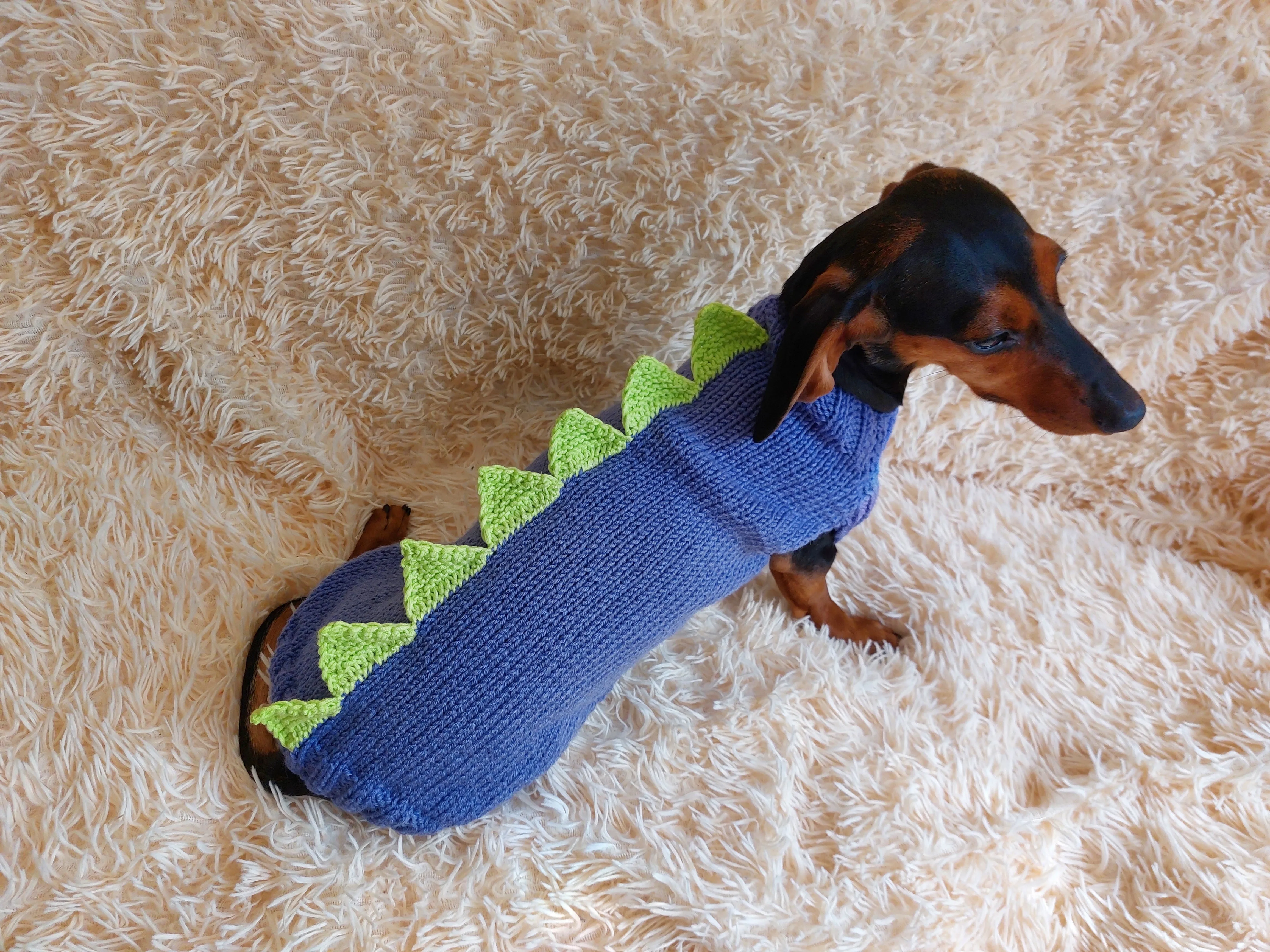 Dinosaur sweater for dachshund or small dog,Dinosaur sweater for small dog, clothes for dog dinosaur, knitted dinosaur sweater.