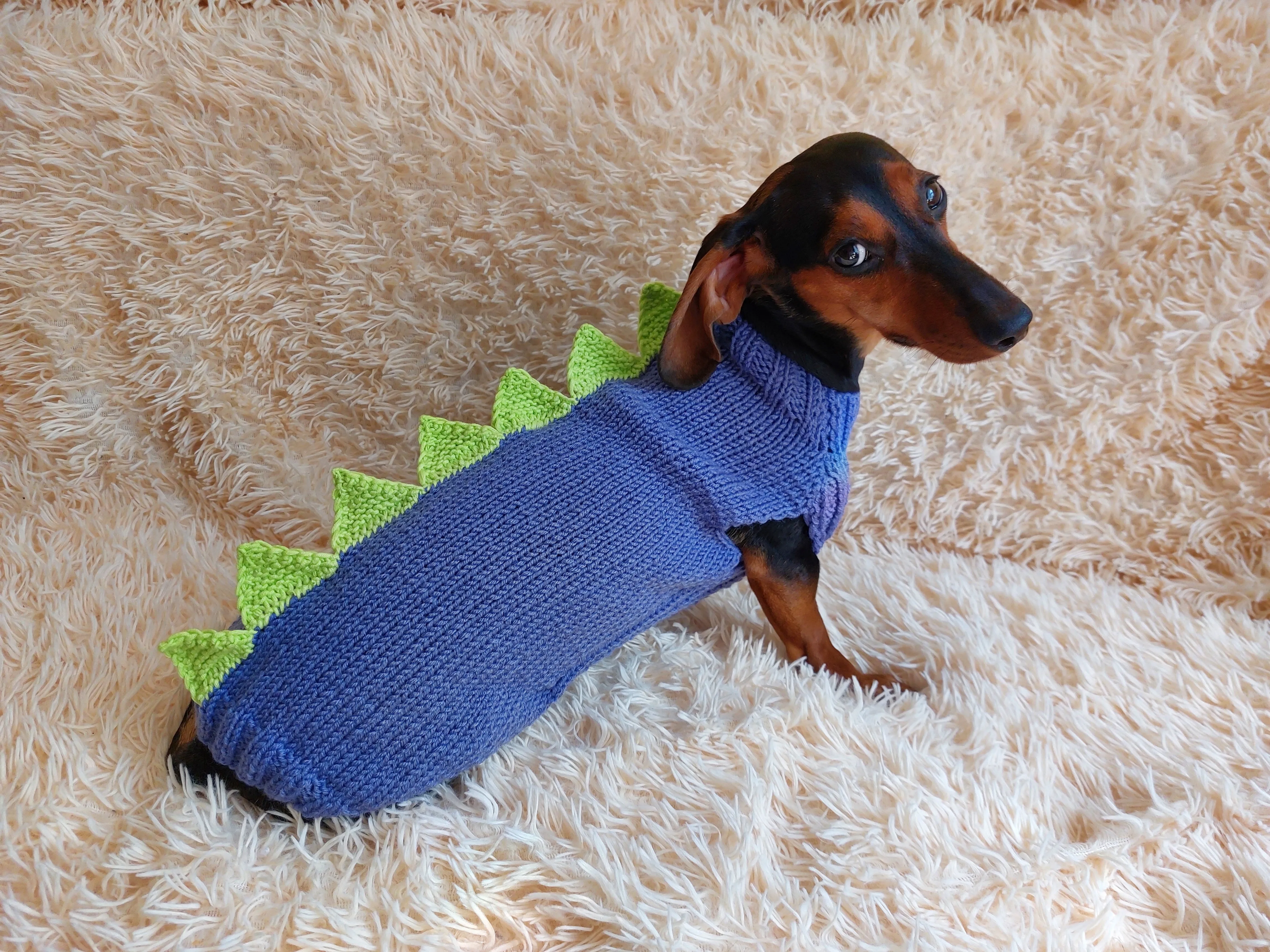 Dinosaur sweater for dachshund or small dog,Dinosaur sweater for small dog, clothes for dog dinosaur, knitted dinosaur sweater.