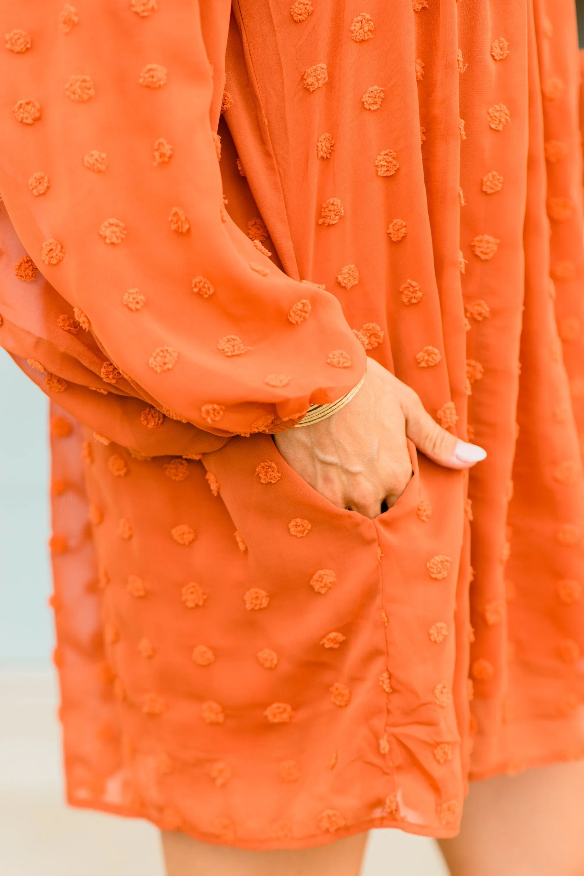 Everywhere I Go Rust Orange Swiss Dot Dress