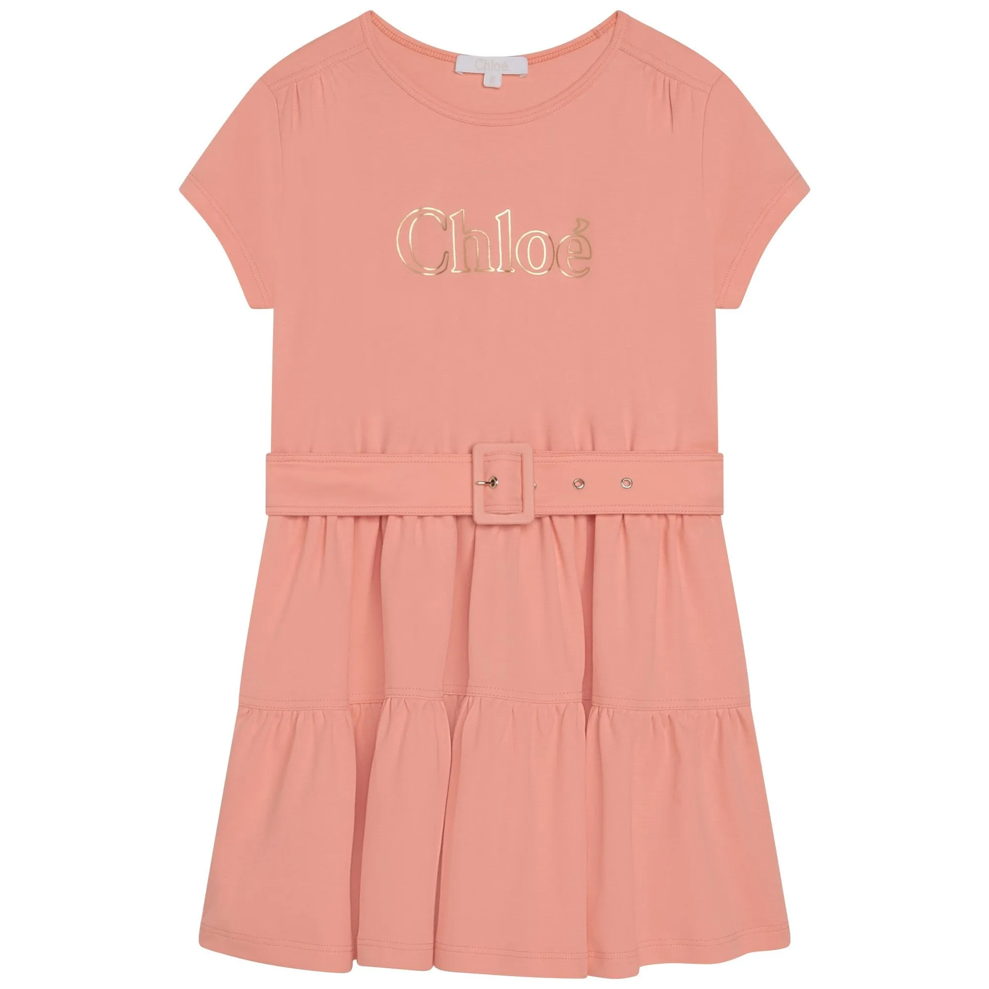 Girls Light Pink Dress Belt