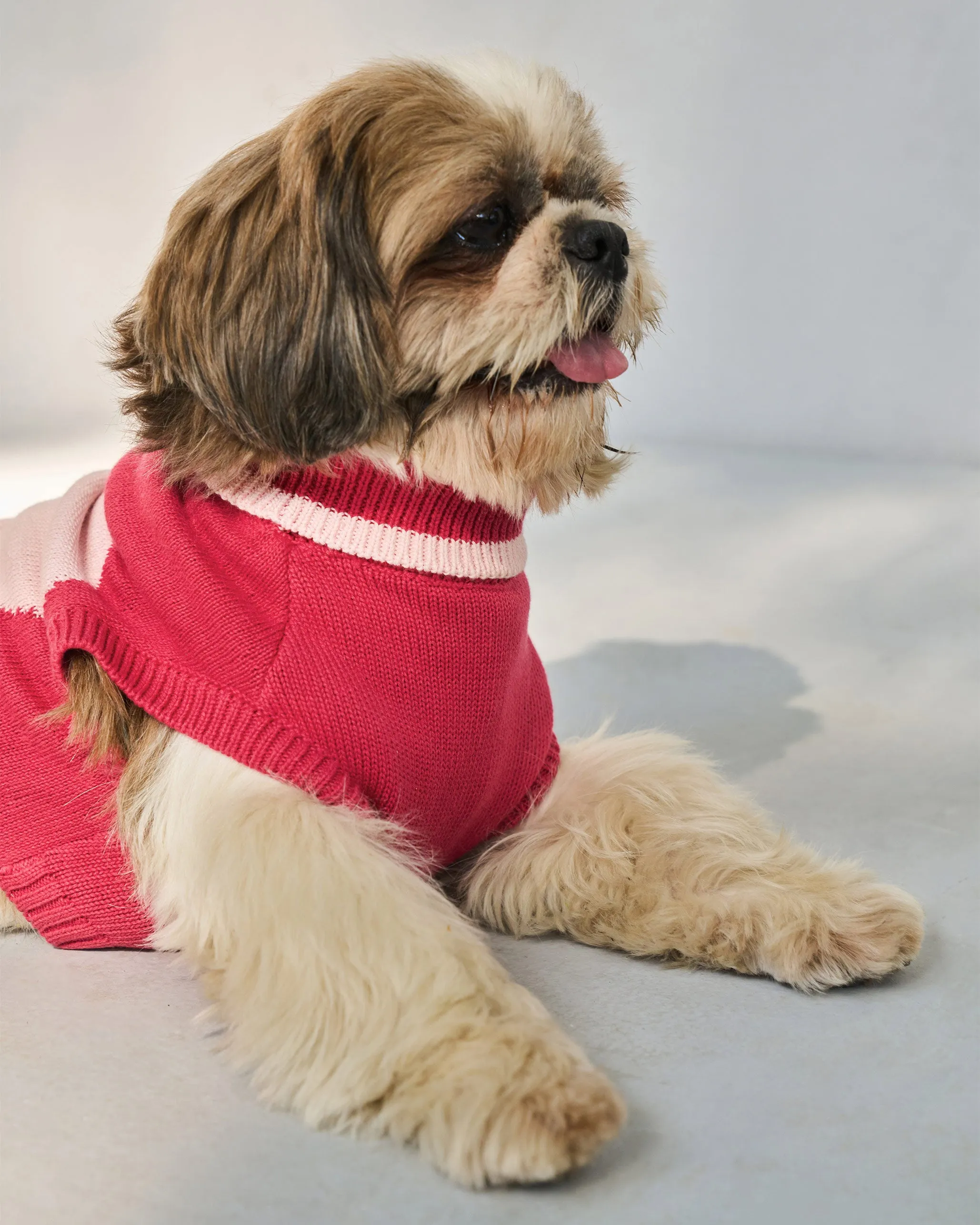 Heart Snug Dog Sweater - Blush Red & Baby pink