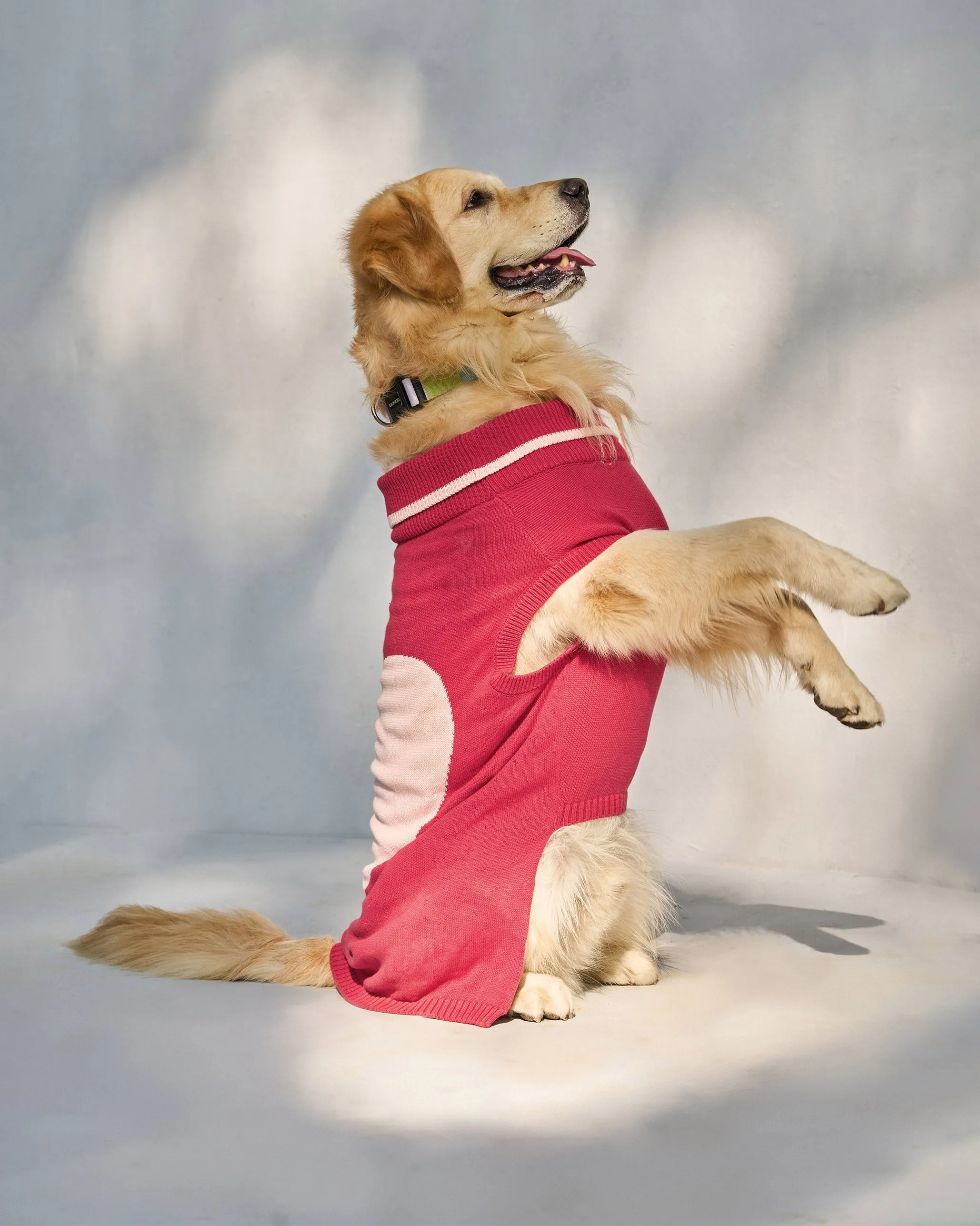 Heart Snug Dog Sweater - Blush Red & Baby pink