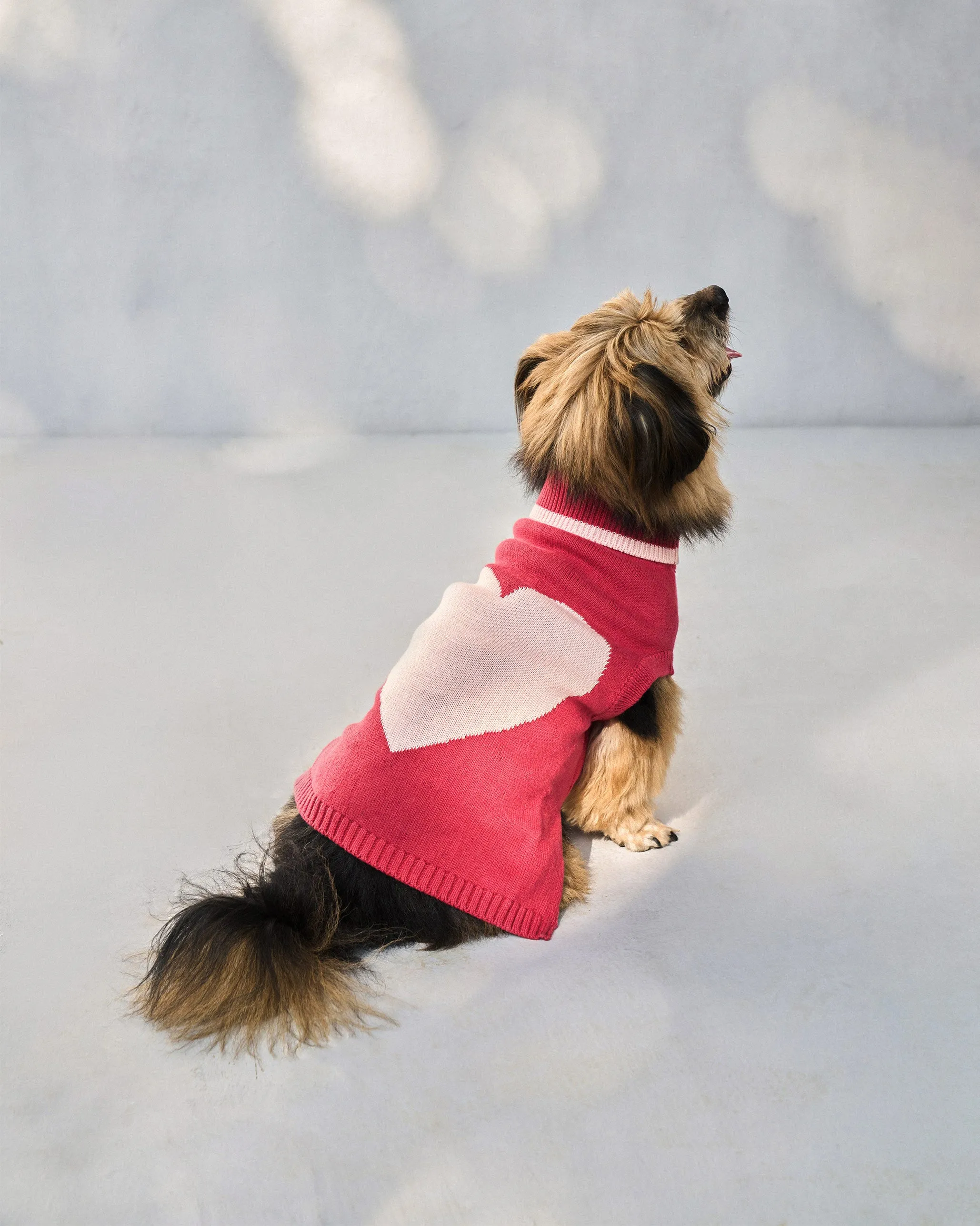 Heart Snug Dog Sweater - Blush Red & Baby pink