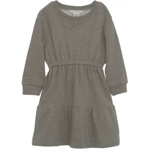 Serendipity Taupe Sweat Dress