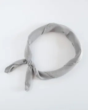 'The Scout' Washable Silk Scarf in Stone